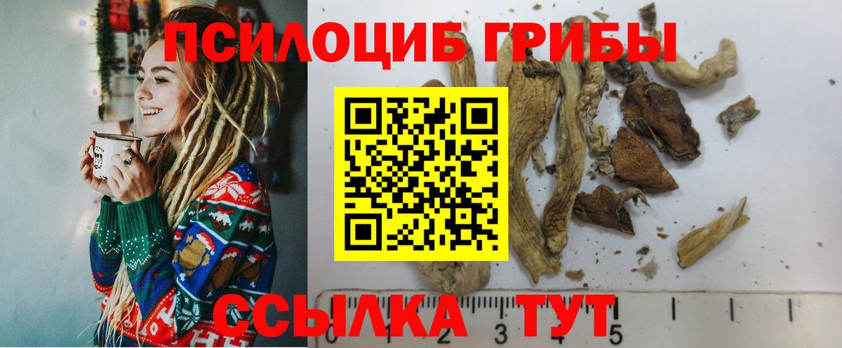 Галлюциногенные грибы MAGIC MUSHROOMS Татарск