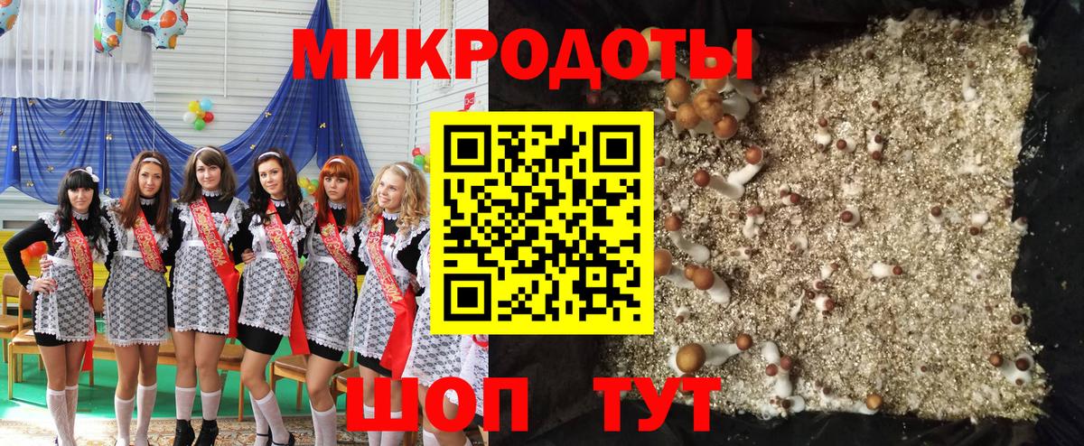 Псилоцибиновые грибы Psilocybine cubensis  Вход с VPN  Татарск 